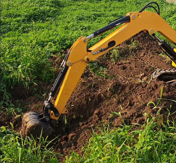 1755500465161896.png image.png